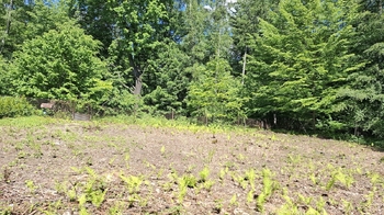 zahrada  - Prodej pozemku 462 m², Petřvald