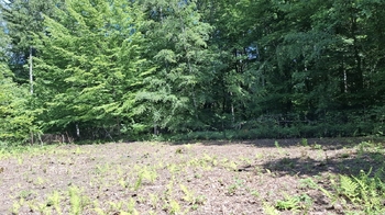zahrada - Prodej pozemku 462 m², Petřvald