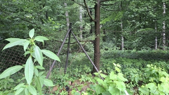 roh zahrady - Prodej pozemku 462 m², Petřvald