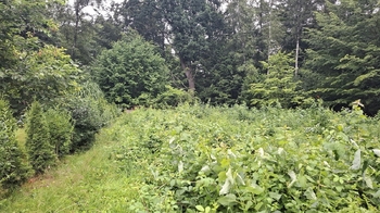hranice se sousedy - Prodej pozemku 462 m², Petřvald