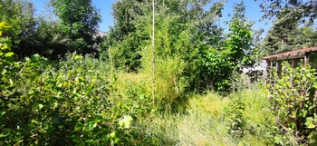 Prodej chaty / chalupy 40 m², Staré Město