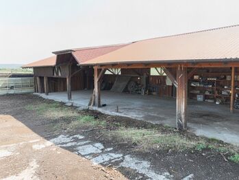 Pronájem pozemku 5000 m², Točník