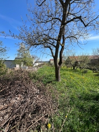 Prodej domu 80 m², Křenice