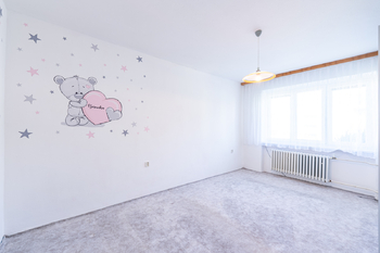 Prodej bytu 3+1 v osobním vlastnictví 82 m², Lesonice