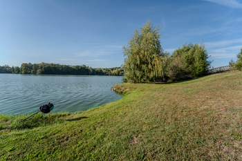 Prodej pozemku 1278 m², Sadská