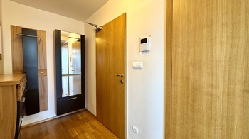 Pronájem bytu 1+kk v osobním vlastnictví 59 m², Praha 3 - Žižkov