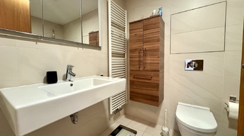 Pronájem bytu 1+kk v osobním vlastnictví 59 m², Praha 3 - Žižkov