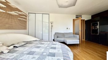 Pronájem bytu 1+kk v osobním vlastnictví 59 m², Praha 3 - Žižkov