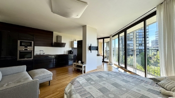 Pronájem bytu 1+kk v osobním vlastnictví 59 m², Praha 3 - Žižkov