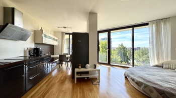 Pronájem bytu 3+kk v osobním vlastnictví 72 m², Praha 3 - Žižkov