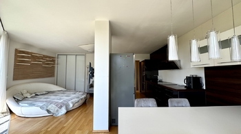 Pronájem bytu 1+kk v osobním vlastnictví 59 m², Praha 3 - Žižkov