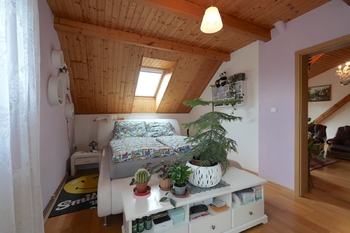 Prodej apartmánu 350 m², Velké Losiny