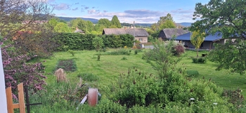 Prodej pozemku 2220 m², Velké Losiny