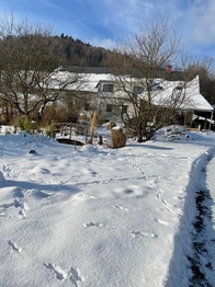 Prodej domu 350 m², Velké Losiny