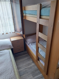Apartmán 5.2 - Prodej chaty / chalupy 400 m², Brno
