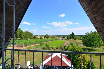 Prodej chaty / chalupy 30 m², Břeclav
