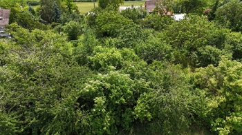 Prodej pozemku 1735 m², Brandýsek