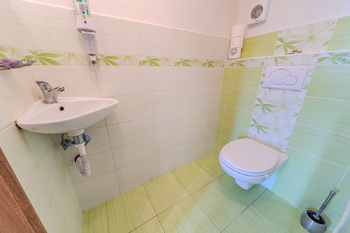 toaleta přízemí - Prodej domu 147 m², Tmaň