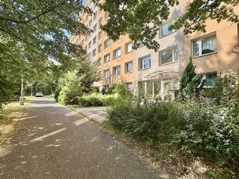 Pronájem bytu 2+kk v družstevním vlastnictví 41 m², Kladno