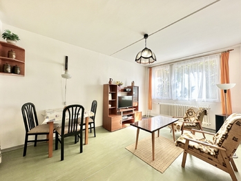 Pronájem bytu 2+kk v družstevním vlastnictví 41 m², Kladno