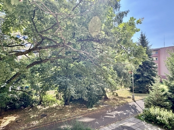 Pronájem bytu 2+kk v družstevním vlastnictví 41 m², Kladno