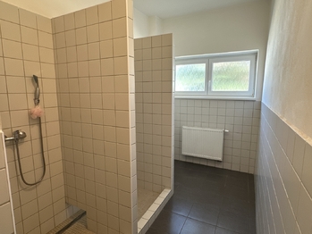 Pronájem výrobních prostor 6779 m², Stráž