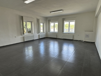 Pronájem výrobních prostor 6779 m², Stráž