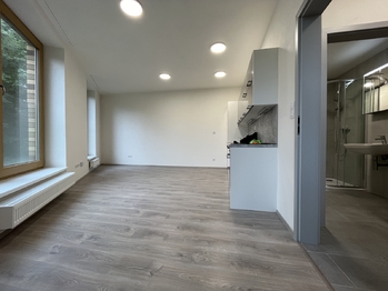 Prodej bytu 1+kk v osobním vlastnictví 28 m², Plzeň
