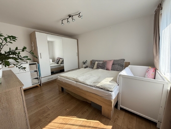 Prodej bytu 3+kk v osobním vlastnictví 62 m², Prachovice
