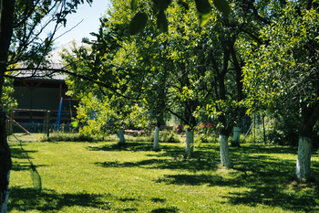 Prodej domu 65 m², Slavičín