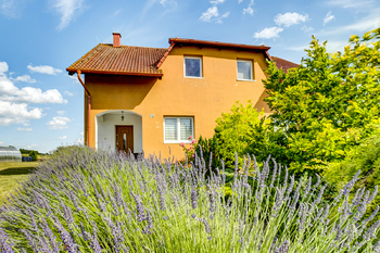 Prodej domu 300 m², Malý Újezd