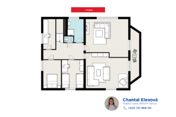 Prodej domu 300 m², Malý Újezd
