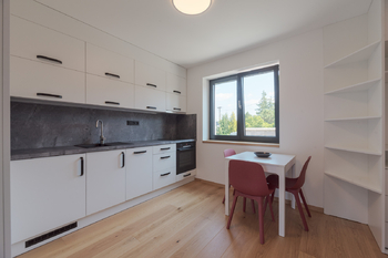 Pokoj 1+kk - Pronájem bytu atypický v osobním vlastnictví 144 m², Lanškroun