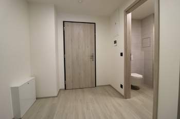 Předsíň - Pronájem bytu 1+kk v osobním vlastnictví 65 m², Praha 5 - Hlubočepy