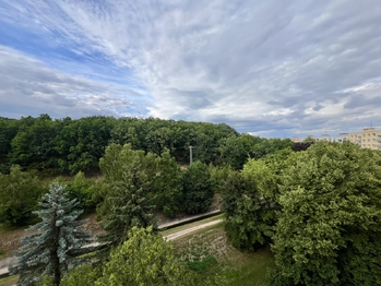 Prodej bytu 2+1 v osobním vlastnictví 65 m², Chomutov