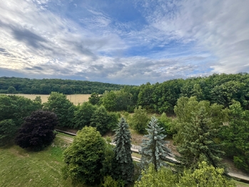 Prodej bytu 2+1 v osobním vlastnictví 65 m², Chomutov