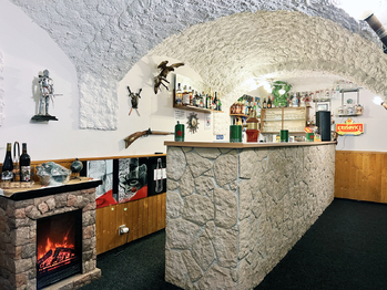 Bar - Prodej ubytovacího zařízení 510 m², Jindřichovice