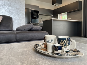Obývací pokoj s kk - Pronájem domu 124 m², Nelahozeves