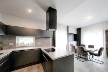 Obývací pokoj s kk - Pronájem domu 124 m², Nelahozeves