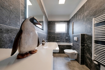 Koupelna s vanou a WC - Pronájem domu 124 m², Nelahozeves