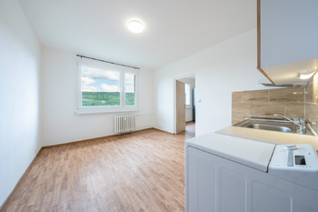 Prodej bytu 1+1 v družstevním vlastnictví 36 m², Ústí nad Labem