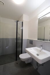 Pronájem bytu 1+kk v osobním vlastnictví 30 m², Praha 3 - Vinohrady