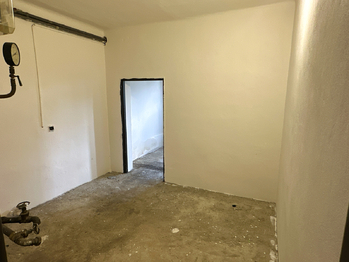 Prodej domu 300 m², Chodová Planá