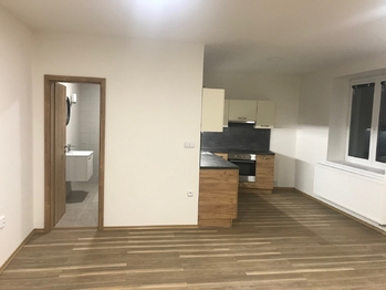 Pronájem bytu 1+kk v osobním vlastnictví 51 m², Břeclav