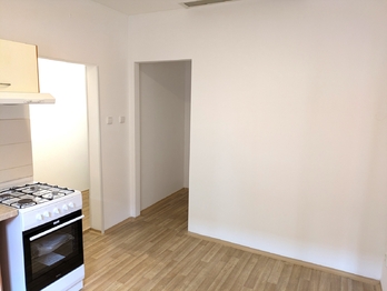 Pronájem bytu 1+1 v osobním vlastnictví 450 m², Ústí nad Labem