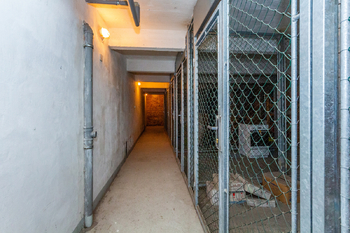 Pronájem bytu 3+kk v osobním vlastnictví 88 m², Praha 6 - Bubeneč