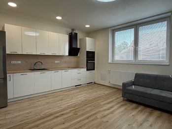 Pronájem bytu 1+1 v osobním vlastnictví 40 m², Syrovice