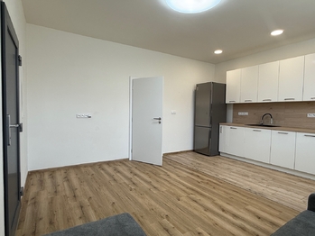 Pronájem bytu 1+1 v osobním vlastnictví 40 m², Syrovice