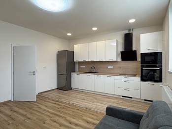 Pronájem bytu 1+1 v osobním vlastnictví 40 m², Syrovice