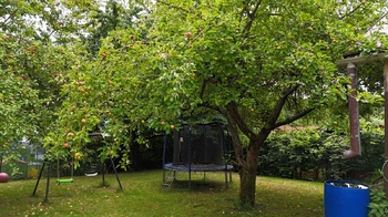 Prodej chaty / chalupy 16 m², Havířov